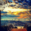 nivek77